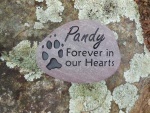 Pandy Doyle, Valerie Doyle ACC.jpg