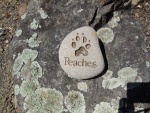Peaches Kosnick, Pet Care West.jpg