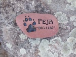 Peja Capurro, Township AH.jpg