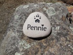 Pennie Steiger, All Tails Wagging.jpg