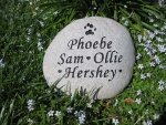 Phoebe, Sam, Ollie, Hershey Nagel.jpg