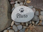 Pluto Derdula.jpg