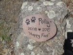 Polly Connelly, Pet Care.jpg