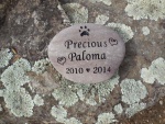 Precious Paloma Corder.jpg