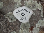Chanel Brandao, AWC.jpg