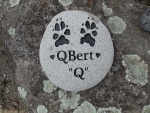 QBert Brand.jpg