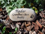 Radar Kinney.jpg