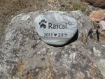 Rascal Boyce, Pet Care.jpg