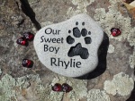 Rhylie Anderson, AWC.jpg