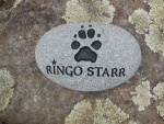 Ringo Starr Vyvyan, AWC.jpg