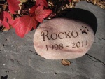 Rocko Tasker.jpg