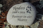 Rodeo Carlson, ordered by Delisa at Silverado Vet.jpg
