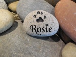 Rosie Hanna, ESRV employee.jpg