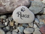 Ruca Naylor.jpg