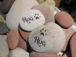 Rug Panait, Pet Care East.jpg