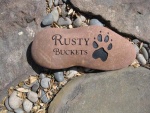 Rusty Buckets Christian-McKenna 5-4-2011 10-04-53 AM.jpg