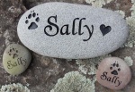 Sally Schaffner DVM, ACC.jpg