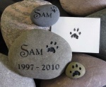 Sam sample.jpg