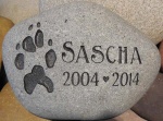 Sascha Albright.jpg