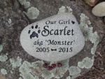 Scarlet Harvey, North Park Vet employee.jpg
