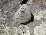 Scout Patt, Pet Care East.jpg