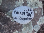 Shadi Holden.jpg