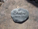 Shadow3.jpg