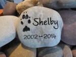 Shelby Plense.jpg