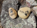 Shiva & Tazer Humphreys, AWC.jpg