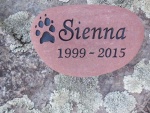 Sienna Caldwell, SVH referral.jpg