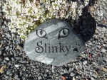 Slinky Kirkland.jpg