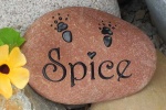 Spice McDonald, Alderbrook PH.jpg