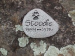 Stoodie Wesson, SVH referral.jpg