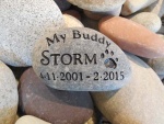 Storm Engleman, SVH referral.jpg