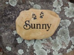 Sunny Morris, All Tails Wagging.jpg