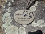 Sydney Ford, Pet Care East.jpg