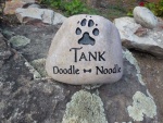 Tank Blakeley.jpg