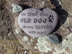 The soul of an old dog stone, Lily's Legacy auction.jpg