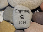 Thomas Winter.jpg