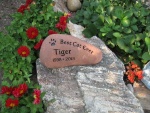 Tiger Bass.jpg