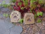 Tiger paw2.jpg