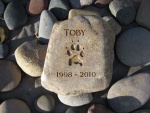 Toby Zabriskie.jpg