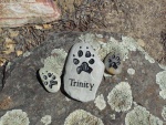 Trinity Risch-Smith.jpg