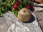 Tristan Carson, ESRV.jpg