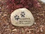 Copper Tooker.jpg