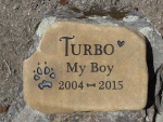 Turbo Hunt.jpg