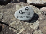 Vanna Koehler, All Tails Wagging.jpg
