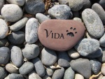 Vida Hodgins.jpg