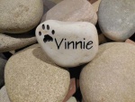 Vinnie Lee, AWC.jpg