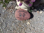 Whiskers Rodda, Northtown AH.jpg